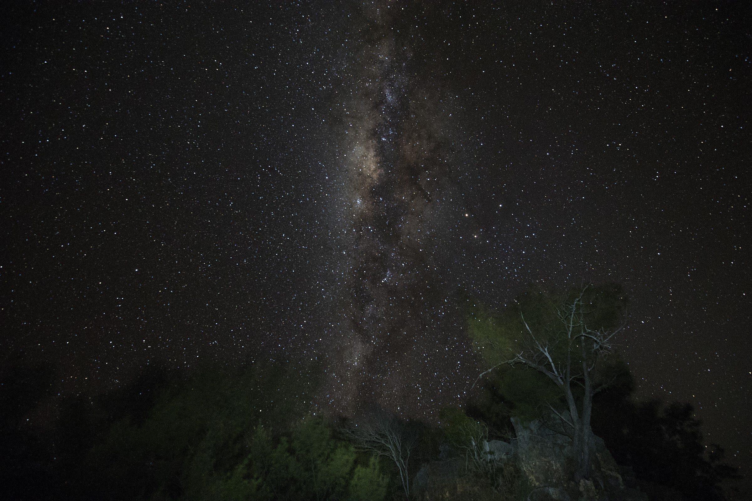 The Milky Way over the trees at Anjajavy