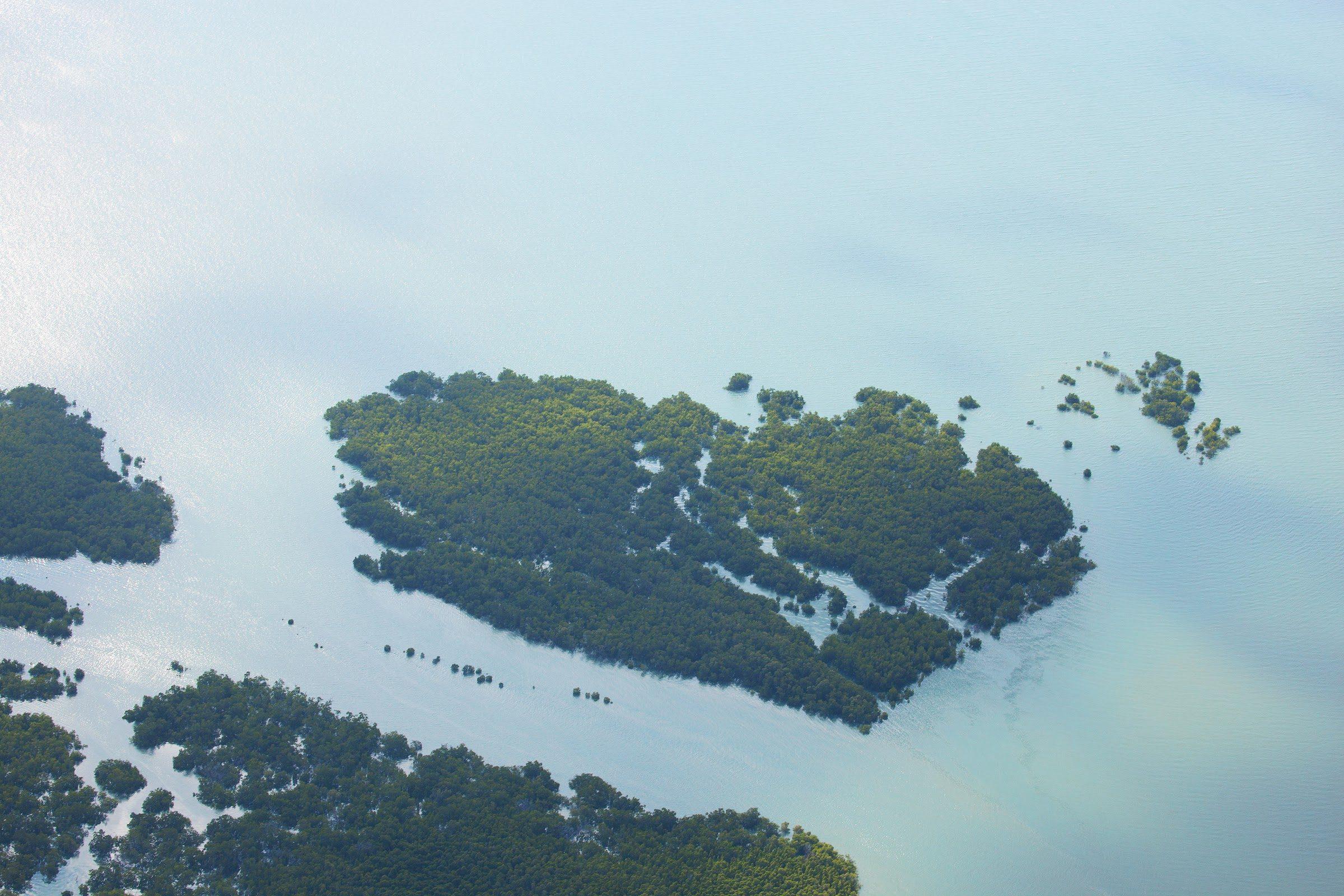 Mangroves et bancs de sable vus d'avion